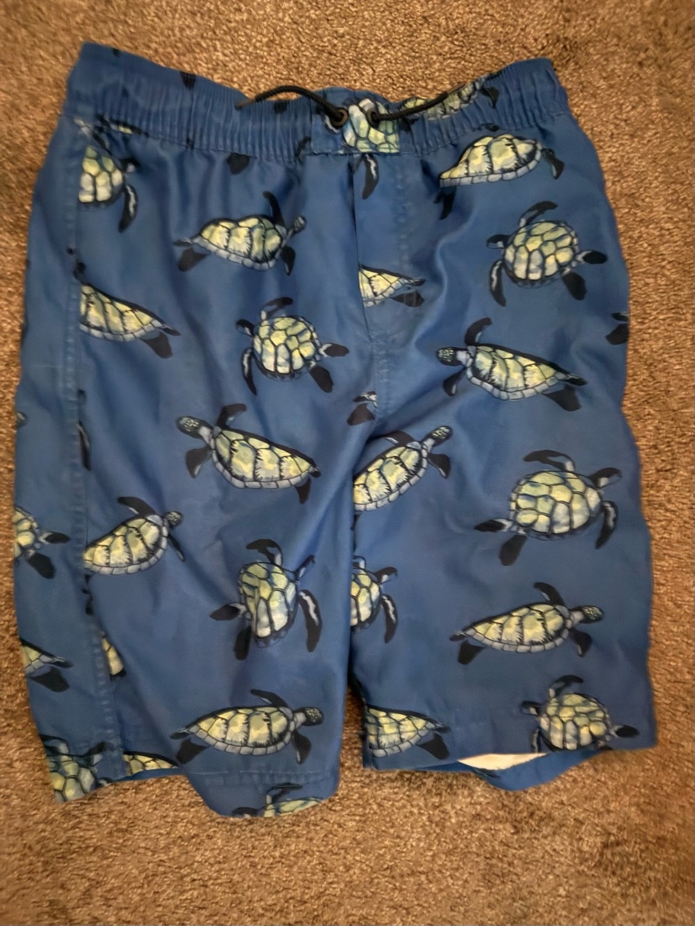 Tea collection Blue Turtle Print Swim Trunks